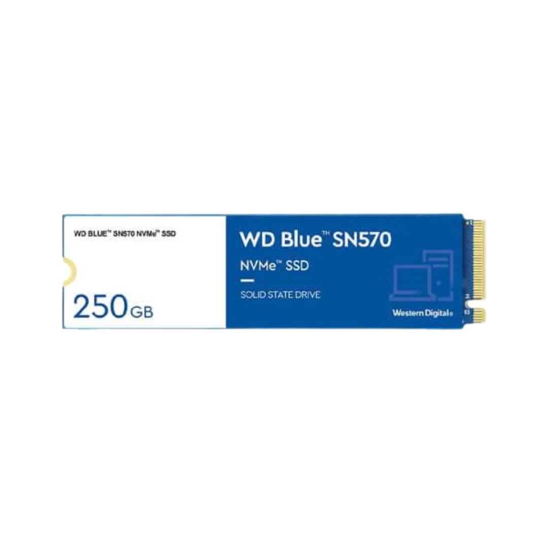 WD SSD(Blue) 250GB NVME