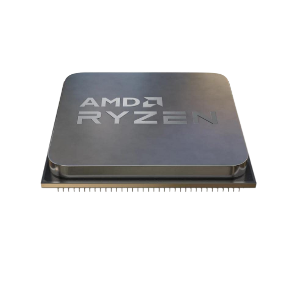 AMD 4600G