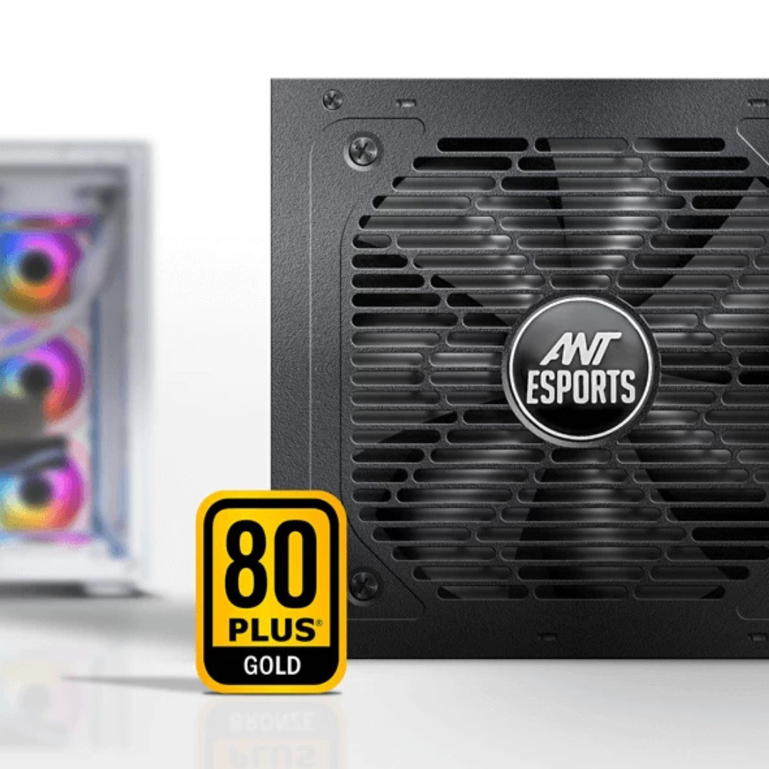 Ant Esports FG750 SMPS - 750 Watt 80 Plus Gold Certification PSU with Active PFC